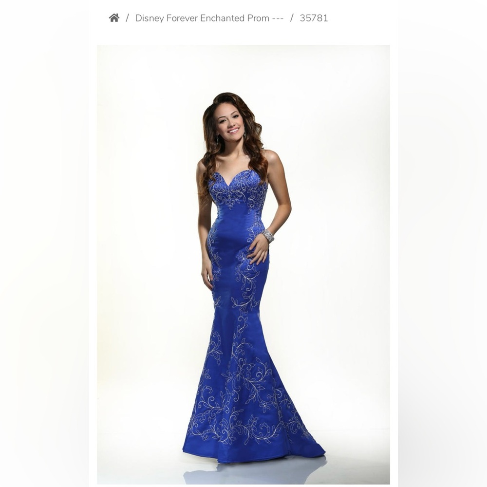 Blue Embroidered Evening Gown